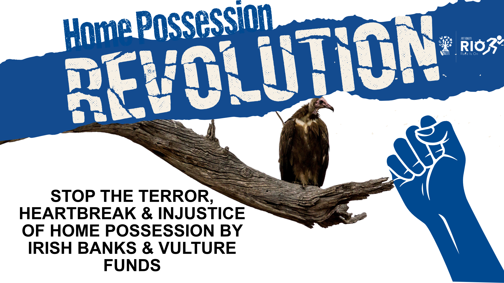 Vulture funds home possession