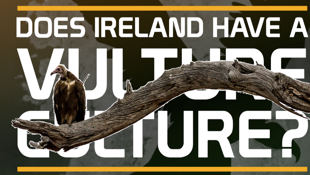 Does Ireland have a vulture culture?